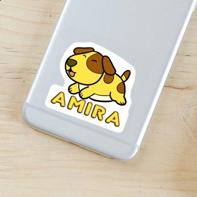 Amira Autocollant Chien Gift package Image