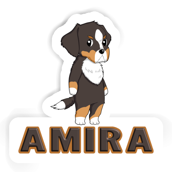 Sticker Amira Berner Sennenhund Gift package Image