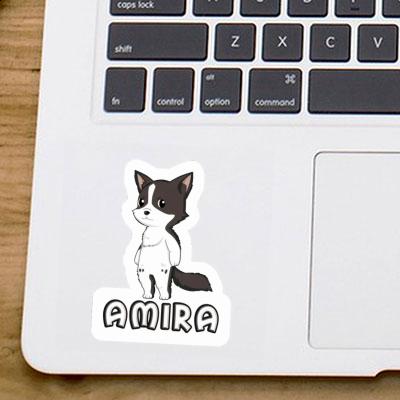 Border Collie Sticker Amira Image