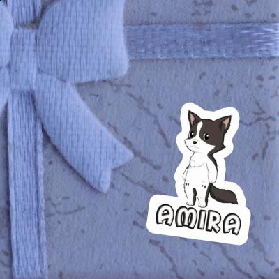 Amira Autocollant Collie border Gift package Image