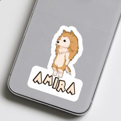 Amira Sticker Collie Gift package Image