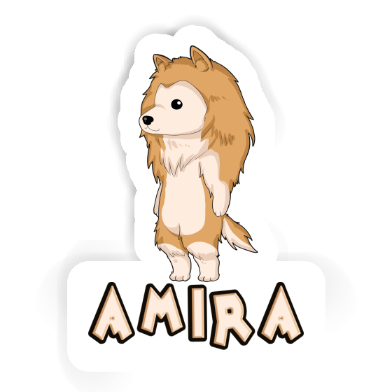 Amira Sticker Collie Laptop Image