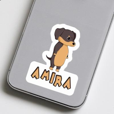 Sticker Dachshund Amira Image