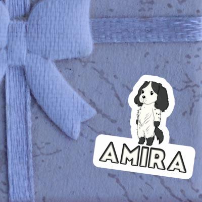 Sticker Spaniel Amira Gift package Image