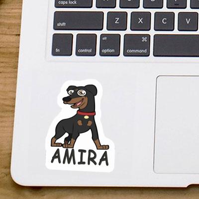 Pinscher Aufkleber Amira Gift package Image