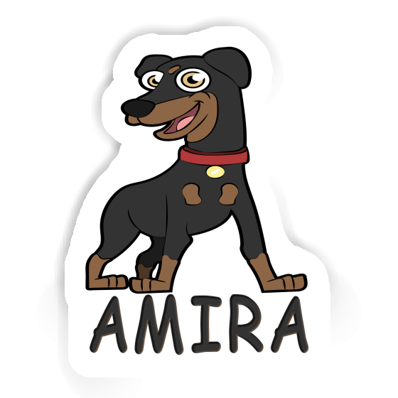 Sticker German Pinscher Amira Notebook Image