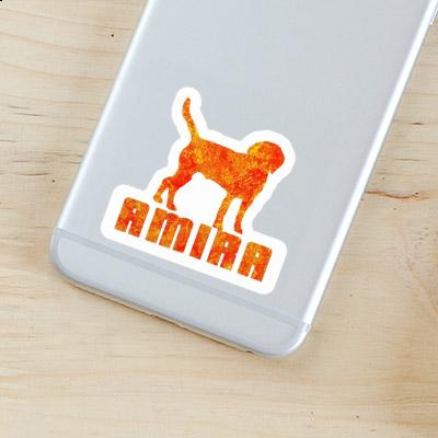 Amira Sticker Dog Gift package Image