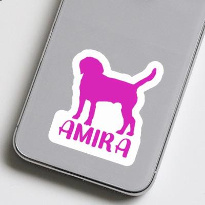 Sticker Hund Amira Image