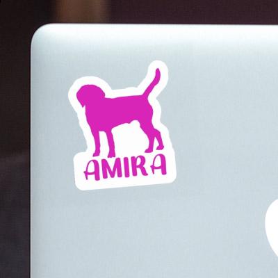 Sticker Hund Amira Gift package Image