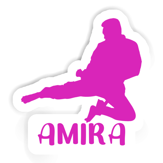 Sticker Amira Karateka Gift package Image