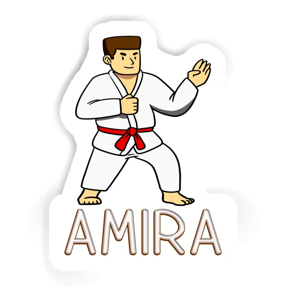 Sticker Amira Karateka Gift package Image