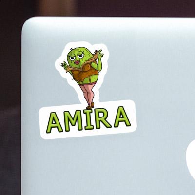 Sticker Kiwi Amira Laptop Image