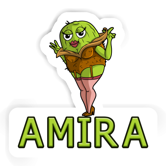 Kiwi Sticker Amira Gift package Image