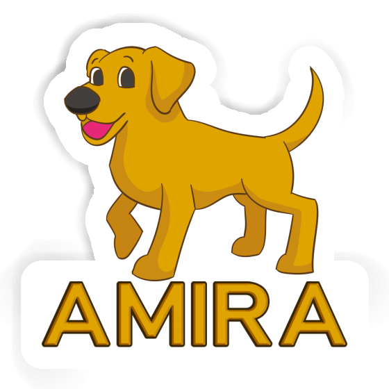 Labrador Autocollant Amira Gift package Image