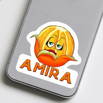 Amira Sticker Orange Laptop Image