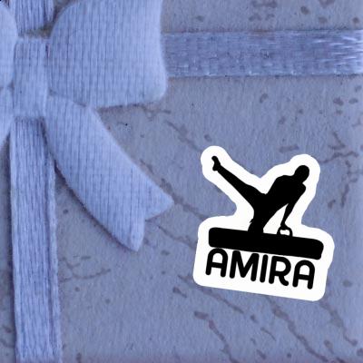 Autocollant Amira Gymnaste Gift package Image