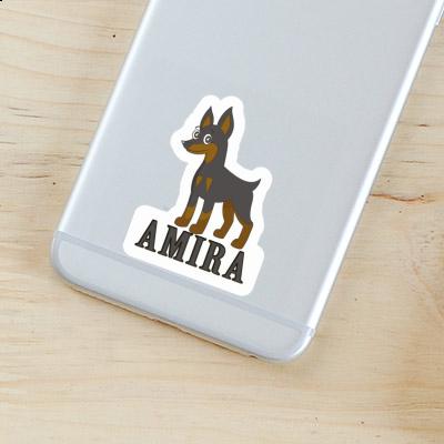 Pinscher Sticker Amira Laptop Image