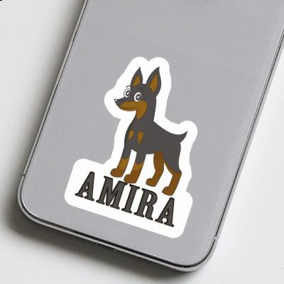 Amira Autocollant Pinscher Image