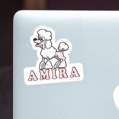 Amira Sticker Poodle Laptop Image