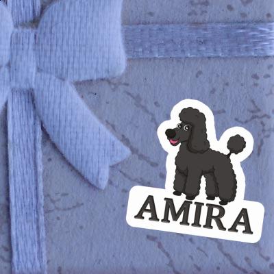 Aufkleber Amira Pudel Gift package Image