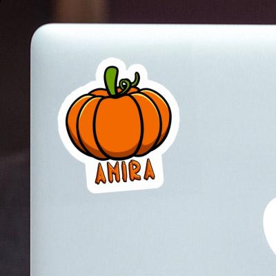 Pumpkin Sticker Amira Notebook Image