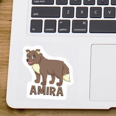 Chien de berger Autocollant Amira Gift package Image