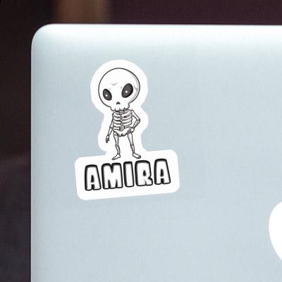 Amira Sticker Skeleton Gift package Image