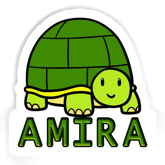 Turtle Sticker Amira Gift package Image