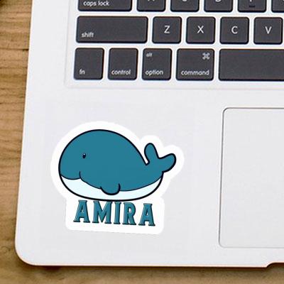 Sticker Amira Whale Gift package Image