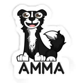 Sticker Border Collie Amma Image