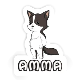 Sticker Border Collie Amma Image