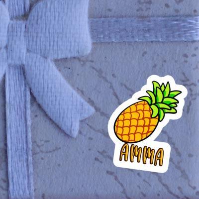 Autocollant Amma Ananas Gift package Image