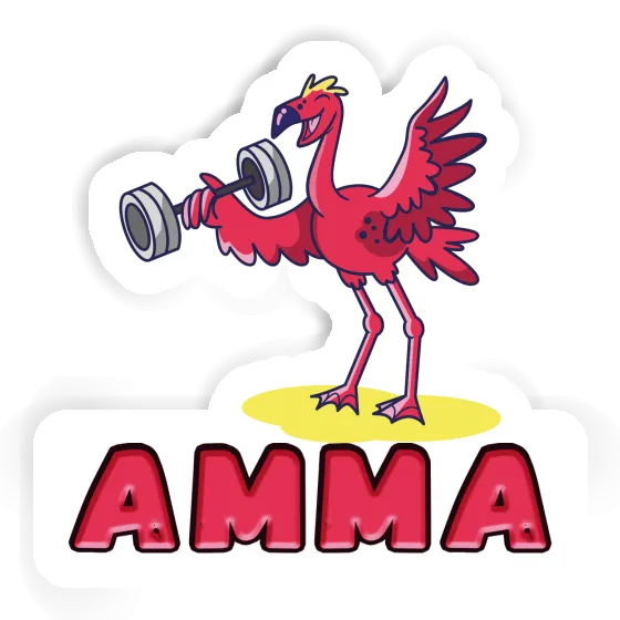 Sticker Amma Weight Lifter Gift package Image