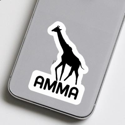 Sticker Giraffe Amma Gift package Image