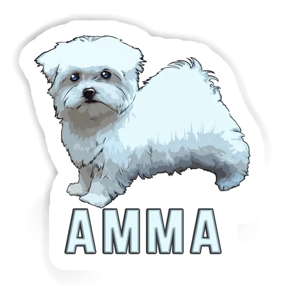 Maltese Dog Sticker Amma Gift package Image