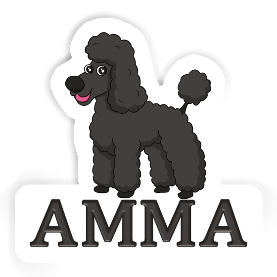 Autocollant Caniche Amma Image