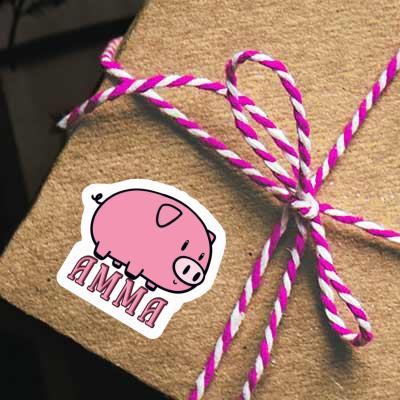 Sticker Amma Pig Gift package Image