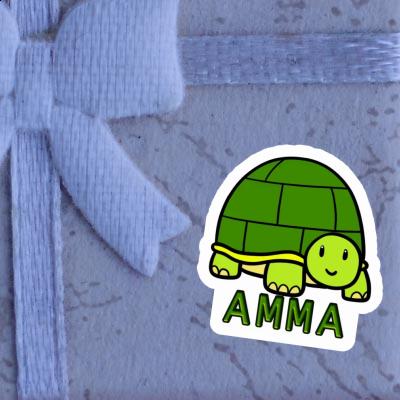 Turtle Sticker Amma Image