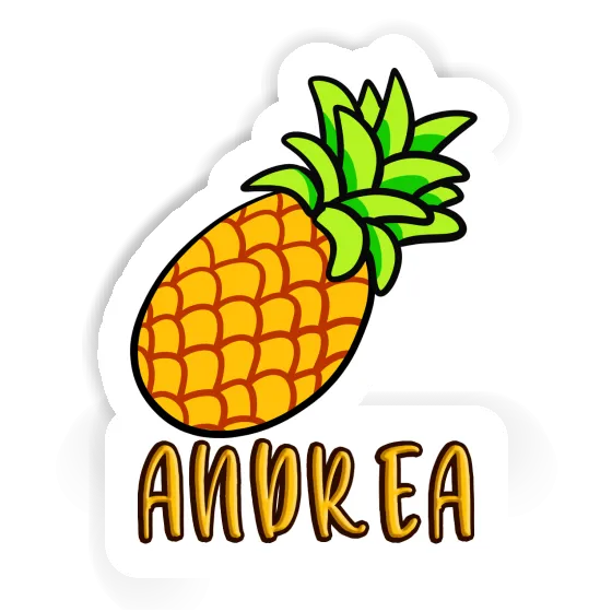 Aufkleber Ananas Andrea Notebook Aufkleber Ananas Andrea Gift package Image