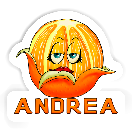 Andrea Sticker Orange Notebook Andrea Sticker Orange Gift package Image