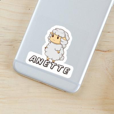 Mouton Autocollant Anette Gift package Image