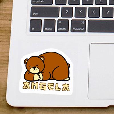Angela Sticker Bear Notebook Image
