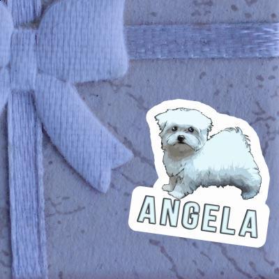 Aufkleber Malteserhund Angela Notebook Image