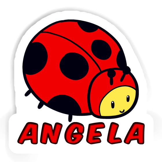 Coccinelle Autocollant Angela Gift package Image