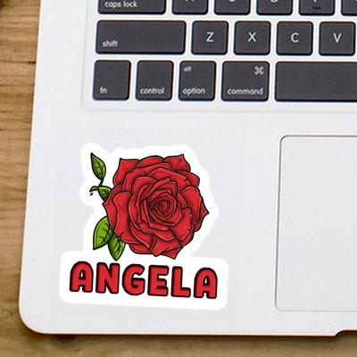 Autocollant Angela Fleur de rose Image