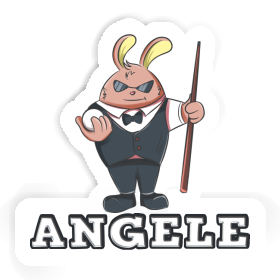 Sticker Angele Billiards Player Image