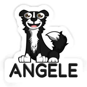 Sticker Border Collie Angele Image