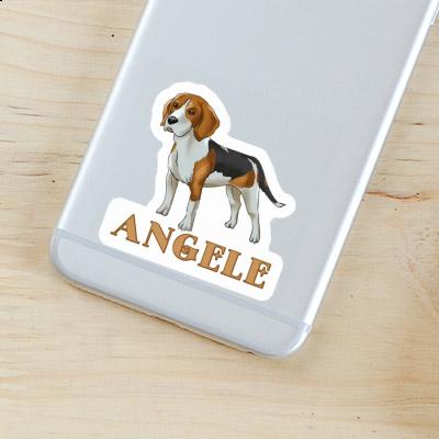 Autocollant Beagle Angele Gift package Image