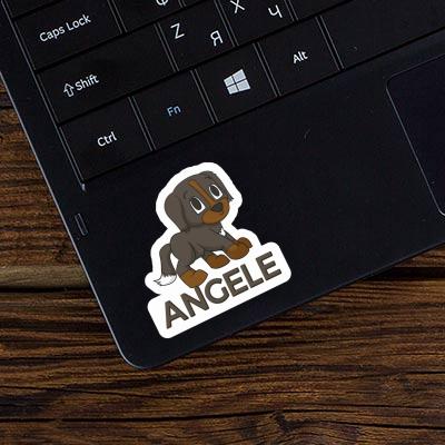 Angele Sticker Mountain Dog Gift package Image