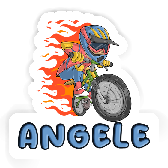 Freeride Biker Sticker Angele Gift package Image